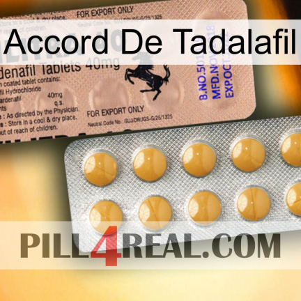 Tadalafil Accord 41